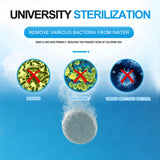 BROMIGUARD 25 LBS 1 inch Bromine Tablet for Spa, Hot Tubs or Swimming Pool